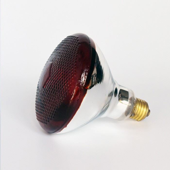 Infrared Bulb 250w