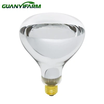 Bulb Infridhearg R40